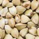 Zdjęcie nasion - common buckwheat